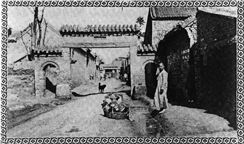 Image Image